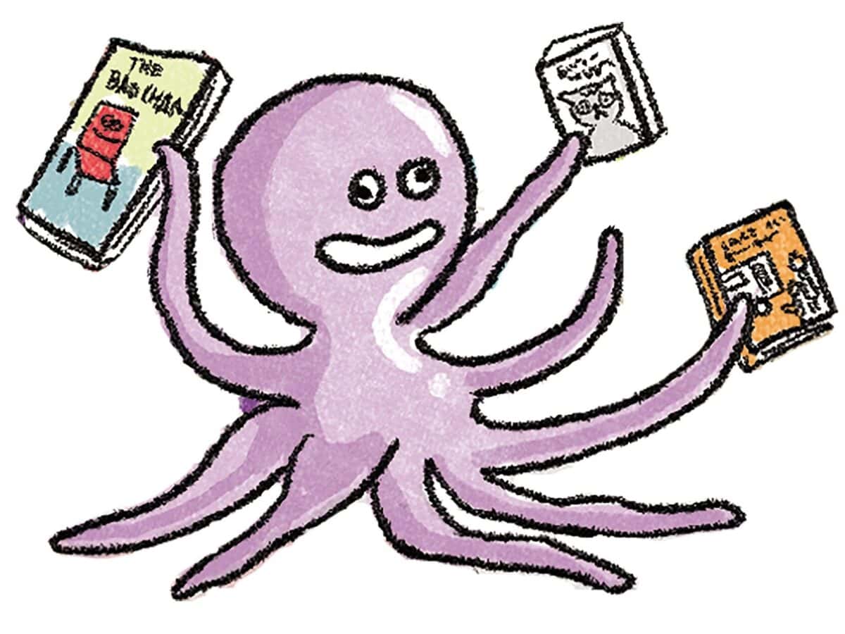 13 octo reader