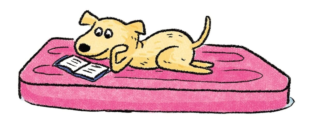 15 raft dog reading