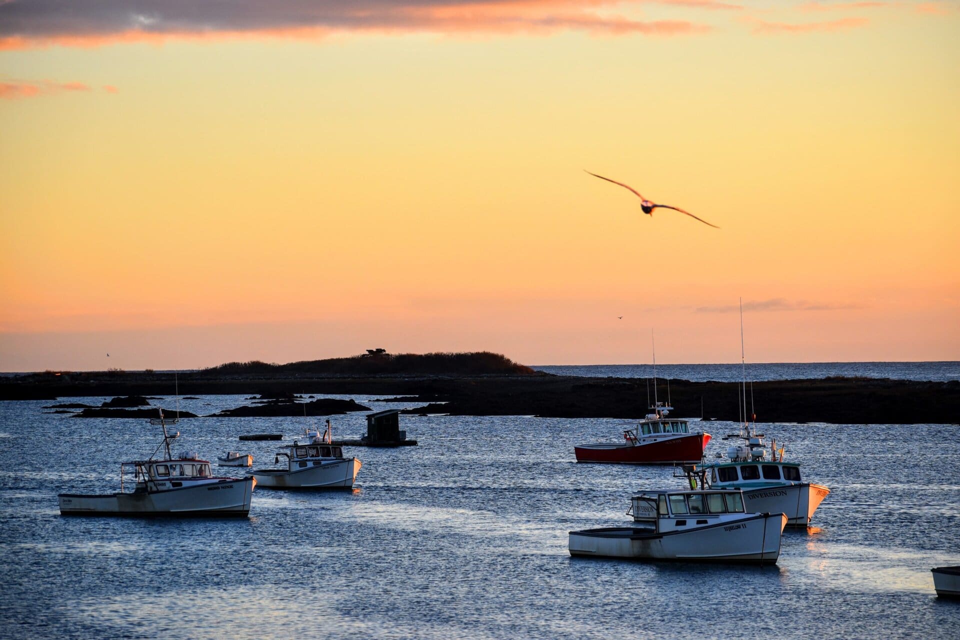 alissa kruszenski (11)