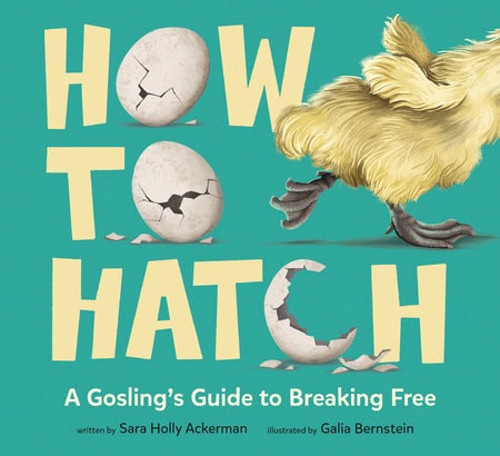 how to hatcch