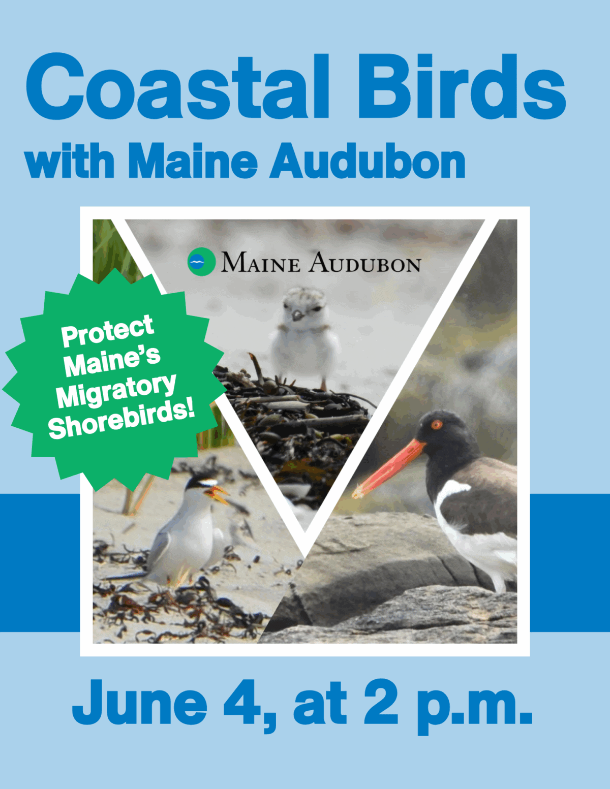 me audubon web