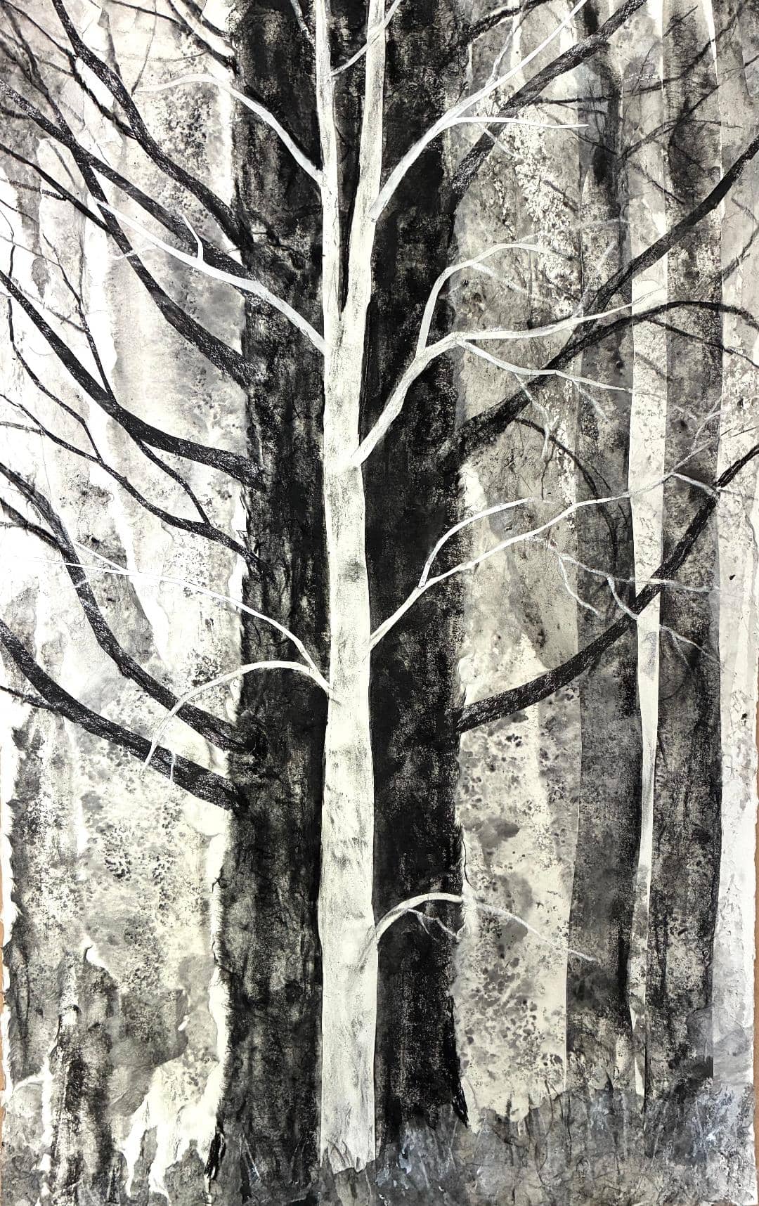 pr tree tango c.falwell