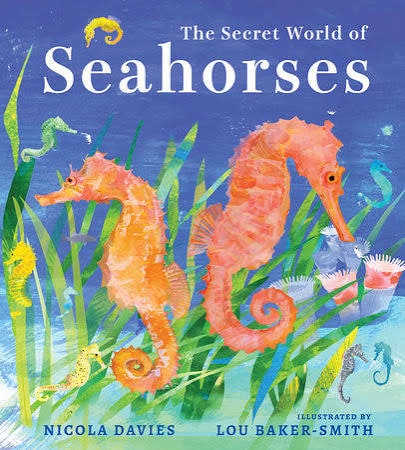 seahorse